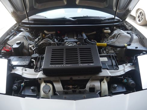 Used 1997 Pontiac Firebird Trans Am RWD image 75