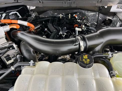 Used 2025 Ford F150 XLT w/ Equipment Group 301A Standard image 31