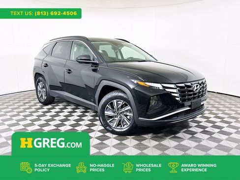 Used 2024 Hyundai Tucson Blue image 1