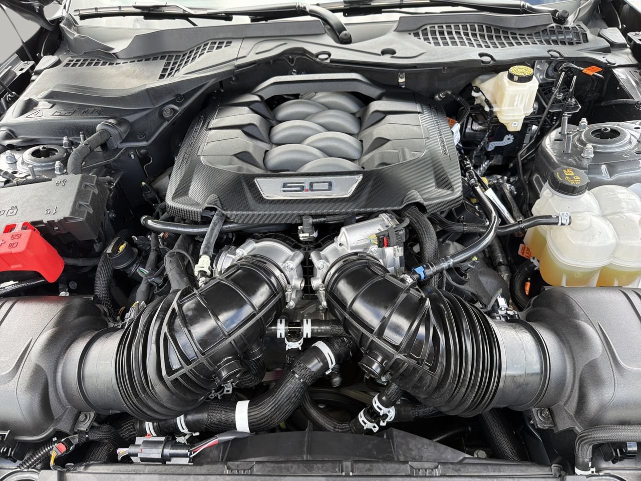 Used 2026 Ford Mustang GT RWD image 10