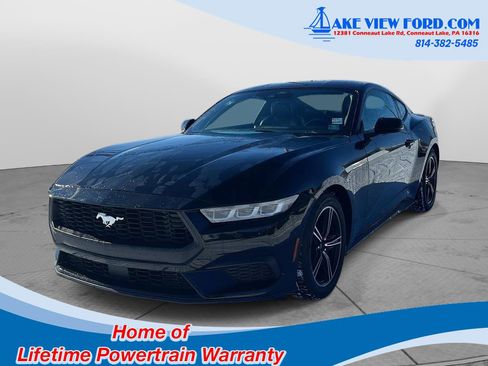 Used 2024 Ford Mustang Premium image 7