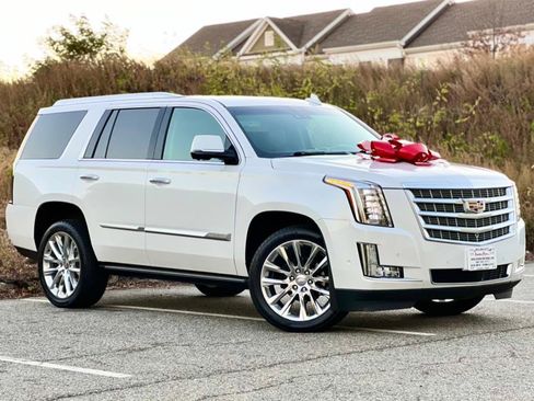 Used 2019 Cadillac Escalade Premium Luxury image 1