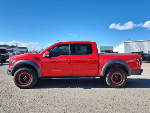 Used 2018 Ford F150 Raptor w/ Equipment Group 802A Luxury image 13