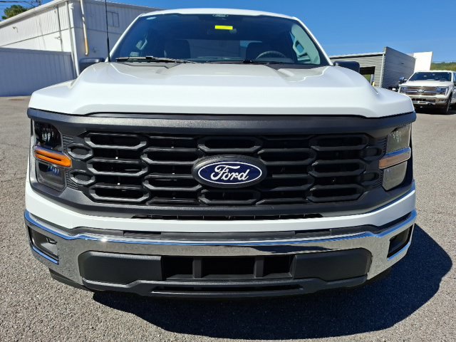 New 2026 Ford F150 XL w/ Equipment Group 103A High RWD image 8