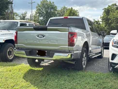 Used 2025 Ford F150 XLT w/ Equipment Group 301A Standard RWD image 4