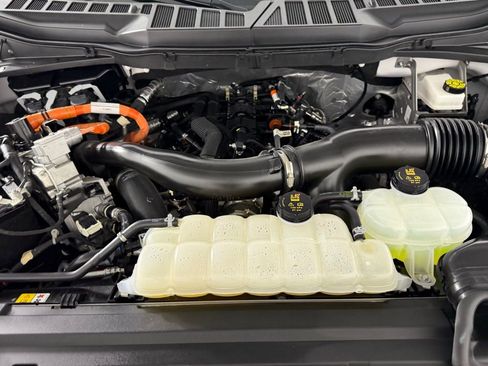 Used 2025 Ford F150 XLT w/ Equipment Group 301A Standard image 34