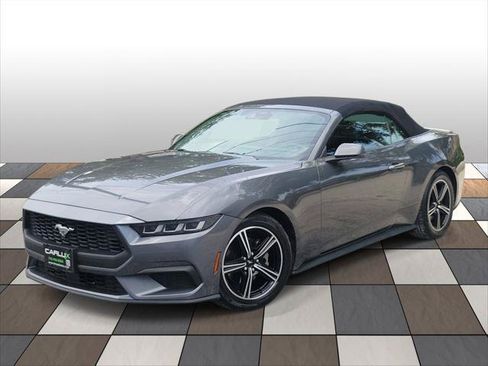 Used 2024 Ford Mustang Premium RWD image 1