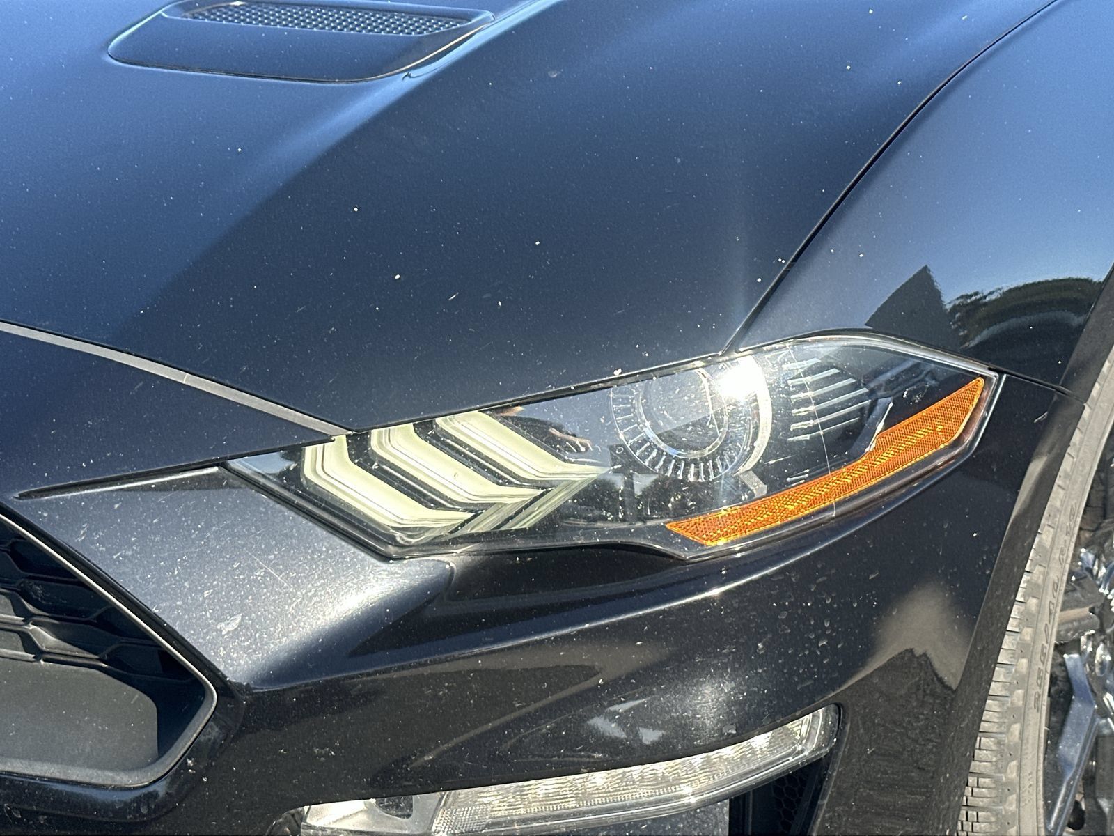 Used 2020 Ford Mustang Premium w/ Black Accent Package RWD image 11