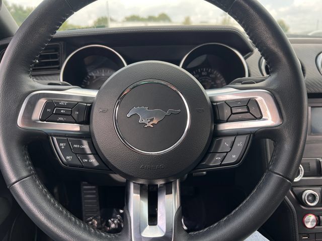 Used 2019 Ford Mustang Coupe RWD image 16