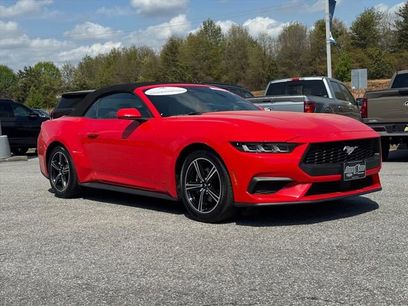 Used 2024 Ford Mustang Premium