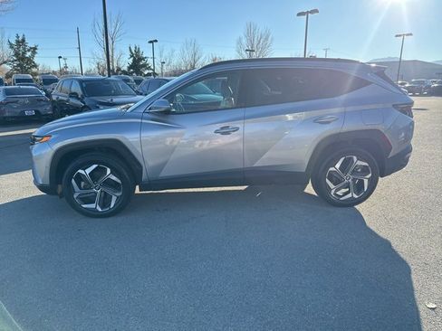 Used 2024 Hyundai Tucson Limited image 2