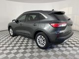 Used 2020 Ford Escape SE image 5