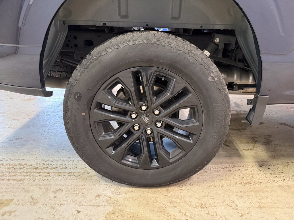 Used 2024 Ford F150 XLT w/ Equipment Group 302A MID AWD/4WD image 12