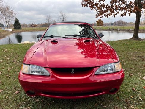 Used 1996 Ford Mustang Cobra image 2
