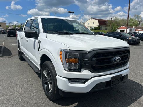 Used 2023 Ford F150 XLT w/ Equipment Group 302A High image 3