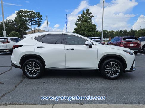 Used 2025 Lexus NX 350h AWD w/ Cold Area Package image 6