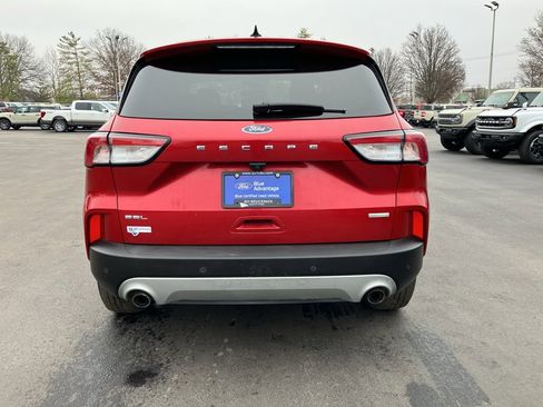 Used 2020 Ford Escape SEL image 7