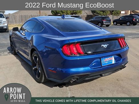 Used 2022 Ford Mustang Coupe w/ Equipment Group 101A image 9