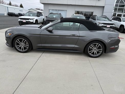 Used 2017 Ford Mustang Premium image 7