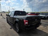 Used 2018 Ford F150 XLT w/ Equipment Group 302A Luxury image 5