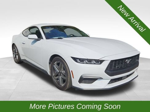 Used 2024 Ford Mustang Coupe RWD image 1
