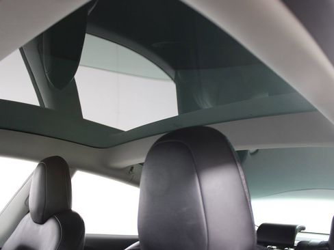 Used 2019 Tesla Model 3 Standard Range Plus image 24