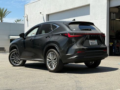 Certified 2025 Lexus NX 350h AWD w/ Cold Area Package image 2