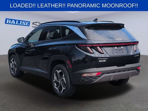 Used 2024 Hyundai Tucson Limited AWD/4WD image 5