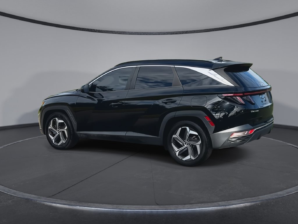 Used 2022 Hyundai Tucson SEL w/ Convenience + Premium Package FWD image 6