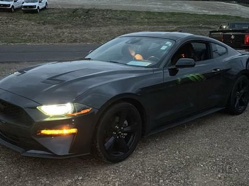 Used 2023 Ford Mustang EcoBoost w/ Equipment Group 101A image 3