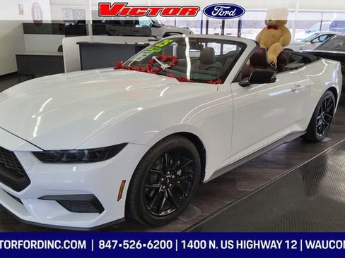 Used 2025 Ford Mustang Premium image 2