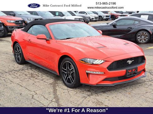 Used 2023 Ford Mustang Premium image 7