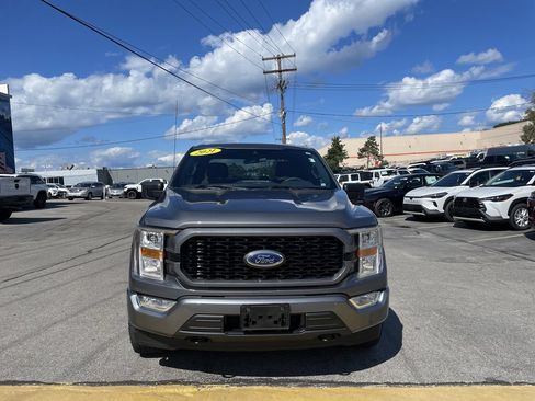 Used 2021 Ford F150 XL w/ STX Appearance Package AWD/4WD image 5