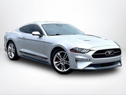 Used 2019 Ford Mustang Premium w/ Equipment Group 201A RWD image 13
