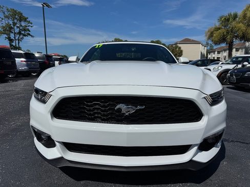 Used 2017 Ford Mustang Premium RWD image 5