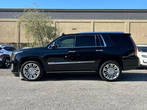 Used 2015 Cadillac Escalade Platinum image 2