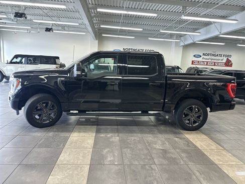 Used 2023 Ford F150 XLT w/ Equipment Group 302A High image 15