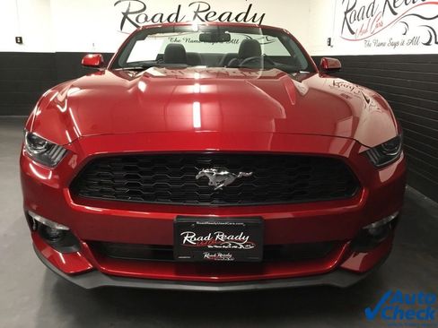 Used 2016 Ford Mustang Convertible w/ Equipment Group 051A image 4