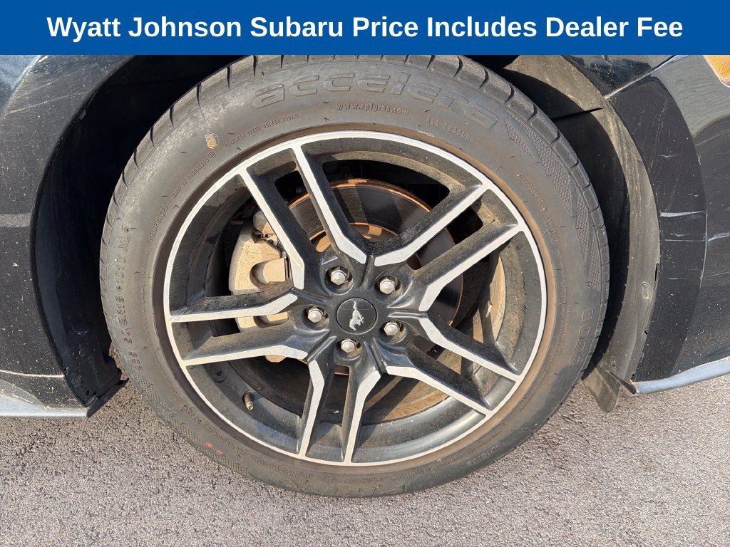 Used 2019 Ford Mustang Premium RWD image 13
