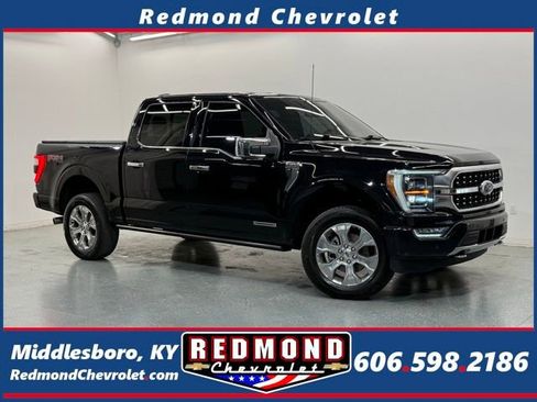 Used 2023 Ford F150 Platinum w/ Equipment Group 701A High AWD/4WD image 1