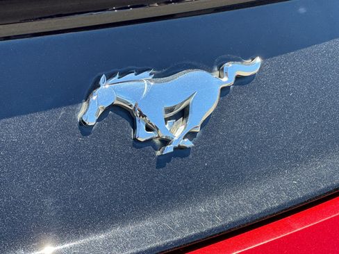Used 2016 Ford Mustang Premium w/ Equipment Group 201A RWD image 25