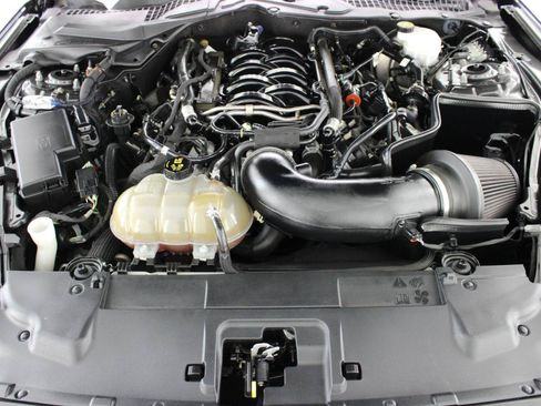 Used 2019 Ford Mustang GT w/ Equipment Group 301A RWD image 66