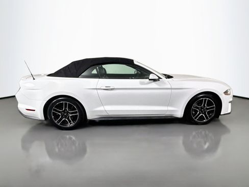 Used 2019 Ford Mustang Premium RWD image 11