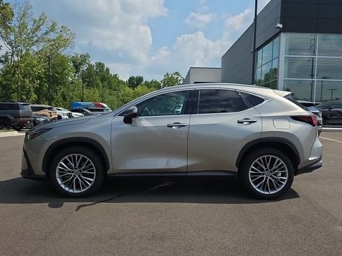 Used 2025 Lexus NX 350 AWD w/ Premium Package image 2