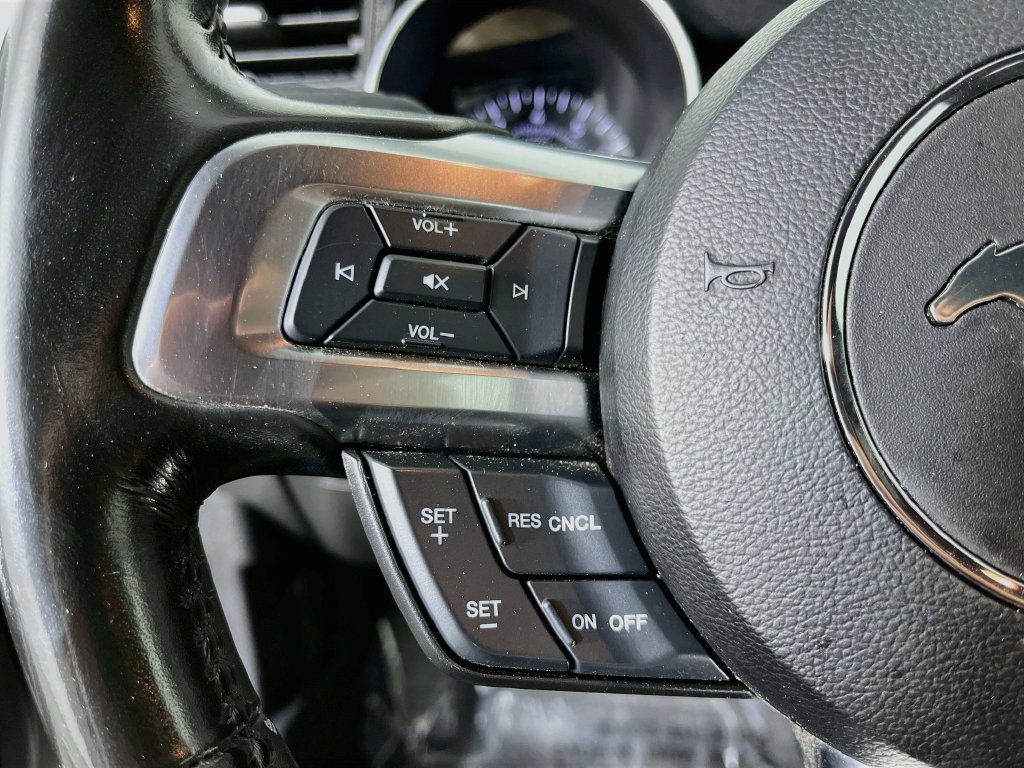 Used 2019 Ford Mustang GT w/ Black Accent Package RWD image 14