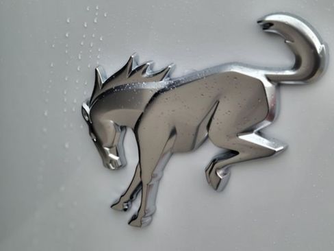 New 2025 Ford Bronco Big Bend w/ Black Diamond Package image 5