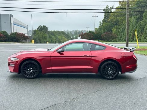 Used 2019 Ford Mustang Premium w/ Equipment Group 201A RWD image 2