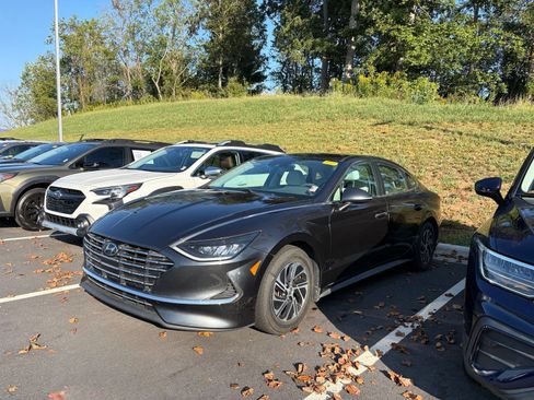 Used 2021 Hyundai Sonata Blue FWD image 3