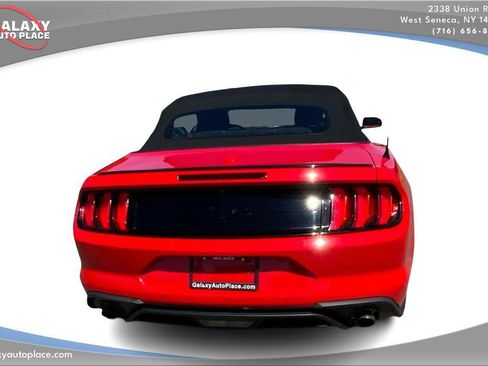 Used 2019 Ford Mustang Convertible w/ Equipment Group 101A RWD image 6