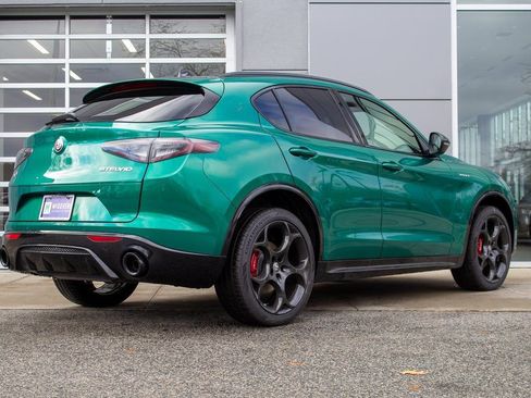 New 2025 Alfa Romeo Stelvio Sprint image 10